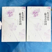 《一本书读完最美古诗词》全套2册