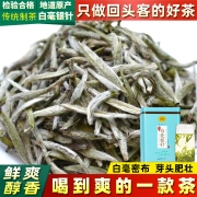 琛牌 白毫银针茶叶 2022福建高山白茶250g春季新茶散茶铁罐装礼盒装 老树茶清鲜回甘芽头肥嫩