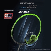 李宁（LI-NING）羽毛球拍风刃300C全碳素3u易操控力量进攻型单拍AYPP014-1 灰绿 (空拍）