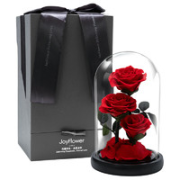 JoyFlower LOVIN ROSE 三生三世 我只爱你 玫瑰永生花礼盒