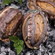 PLUS会员：澳角大厝 青岛鲜冻鲍鱼 200g（约7头/袋）*5袋