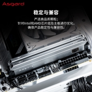 阿斯加特（Asgard）16GB DDR4 3200 台式机内存条 弗雷系列-钛银甲