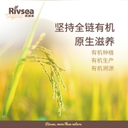 禾泱泱（Rivsea） 宝宝零食 有机泡芙条 苹果味  入口即溶 进口 1盒装20g 6个月+