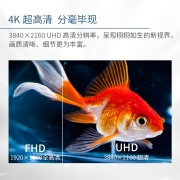 泰坦军团31.5英寸 4K超高清 R1500曲率 HDR技术 曲面显示器 商用办公低蓝光不闪屏 可壁挂 电脑显示屏 32C1UF