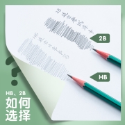 晨光(M&G)文具2B六角木杆铅笔 经典绿杆铅笔 学生考试素描绘图笔 50支/桶AWP35797