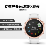 佳明（GARMIN）Fenix6S Pro不锈钢镀膜玫瑰金色表圈心率血氧睡眠监测智能通知音乐微信支付GPS户外运动手表