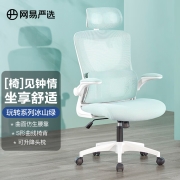 网易严选 玩转系列人体工学电脑椅办公椅电竞椅家用转椅老板椅座椅 冰山绿