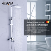 德国自高(ZIGAO)全铜淋浴花洒套装挂墙式增压雨淋套装浴室卫生间精铜花洒增压大喷头莲蓬头方形淋浴器