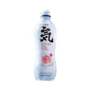 元气森林 气泡水480ml*10瓶装多口味