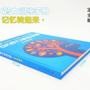 DK智力训练手册:记忆转起来 Dk儿童思维训练智力训练手册 儿童记忆开发锻炼DK中文少儿书DK正版书
