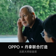 OPPO Enco X 北欧丹拿联合打造 真无线入耳式降噪蓝牙耳机 encox双重主动降噪 通用小米苹果华为一加手机夜曲