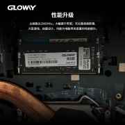 光威（Gloway）8GB DDR4 2666 笔记本内存条 战将系列-精选颗粒/稳定兼容