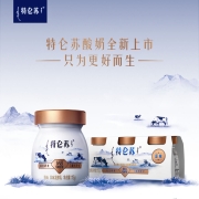 蒙牛 特仑苏 Plus风味发酵乳115gx12杯