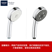 高仪（GROHE）淋浴花洒  欧洲原装进口恒温浴缸龙头花洒淋浴喷头套装 100MM手持花洒