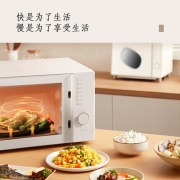 格兰仕（Galanz） 微波炉家用 20升 智能小型 复古平板速热杀菌 微蒸煮一体机 PE(W0)