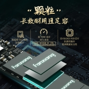 梵想（FANXIANG）1TB SSD固态硬盘 M.2接口(NVMe协议) TLC颗粒 国产长江存储颗粒 S500PRO国潮系列