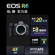 佳能（Canon）EOS R6 全画幅微单数码相机 单机身