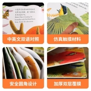 【满128减100】亮丽精美触摸书系列 小熊波比+小兔比利+小猫头鹰奥奇全3册 0-3岁儿童翻翻书