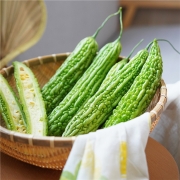 京百味 广东珍珠苦瓜 750g 简装 新鲜蔬菜