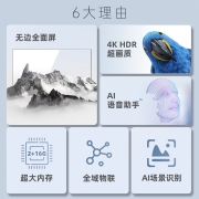 长虹 55A4US 55英寸4K智能语音电视2+16GB手机投屏全面屏平板液晶LED电视机以旧换新 55英寸全面屏4K超清 55A4US