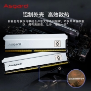 阿斯加特（Asgard）8G DDR4 3600 台式机内存条 弗雷系列-钛银甲