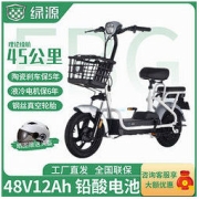 LUYUAN 绿源 FBG TDT2107Z 新国标电动自行车