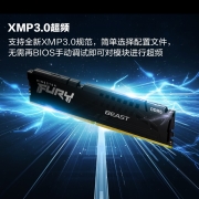 金士顿 (Kingston) FURY 32GB(16G×2)套装 DDR5 6000 台式机内存条 Beast野兽系列 骇客神条
