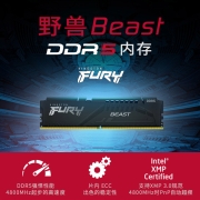 金士顿（Kingston） DDR5台式机内存条 第五代内存 FURY Beast野兽系列 骇客神条 5200 32G