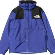 THE NORTH FACE 北面 男士冲锋衣夹克 NP12135日版GTX
