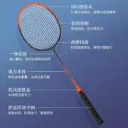 京东京造 羽毛球拍对拍全碳素运动训练超轻双拍 4U套装  F 300C 控制型 （附拍包 羽毛球6个龙骨手胶2个）