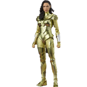Bandai Tamashii Nations 万代魂 S.H. Figuarts WW84 神奇女侠 金鹰战甲 公仔手办  直邮含税到手￥522.48