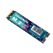 CHUXIA 储侠 M.2 固态硬盘SATA512GB+64G装机U盘