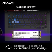 光威（Gloway）256GB SSD固态硬盘 M.2接口(NVMe协议) Basic-基础版/五年质保 TLC颗粒