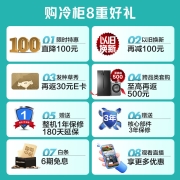 海信（Hisense）252升立式冰柜家用抽屉式冷柜 母婴母乳冷柜侧开门家用冰箱BD-252WVUT