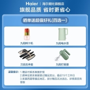 【自营同仓】海尔（Haier）消毒柜嵌入式家用厨房餐具碗筷光波巴氏消毒柜大容量碗柜 母婴消毒机 ZQD90F-12LCS(90L)