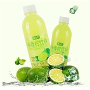 京东极速版:果味饮料 0脂肪0蛋白360ml*6瓶