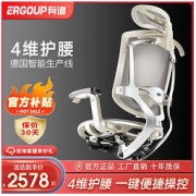ERGOUP 有谱 致炫 靠背椅电竞椅办公椅椅子座椅脚踏网布电脑椅人体工学