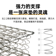强力家具棕垫弹簧3cm椰棕垫 软硬两面弹簧舒适垫床垫 进口面料 静语经典 120*200*22cm