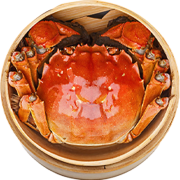 PLUS会员：湖塘煙雨 大闸蟹 螃蟹鲜活 2.0-2.3两 10只 六月黄活蟹生鲜现货水产海鲜礼盒装
