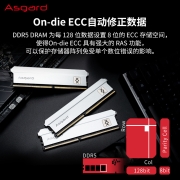 阿斯加特（Asgard）16GB(8Gx2)套装 DDR5 5200 台式机内存条 弗雷系列-钛银甲