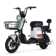 LUYUAN 绿源 ZFB翻糖 TDT2112Z  电动车  电动自行车
