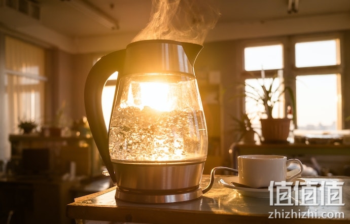 如何选择养生壶？养生壶选购指南