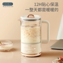 德国 OIDIRE 养生壶 煮茶器煮茶壶烧水壶电水壶热水壶玻璃煮茶壶烧水壶恒温保温办公室迷你养生杯 ODI-YSH33多功能养生壶 升级款【带滤网】