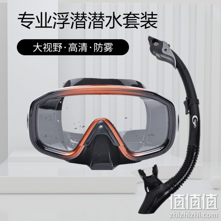 泳速 潜水镜成人 潜水装备呼吸器潜浮面罩 眼睛全干式潜水面罩面具呼吸管水下呼吸器套装浮潜三宝防水泳镜 黑金面镜+全干呼吸管 成人2件套