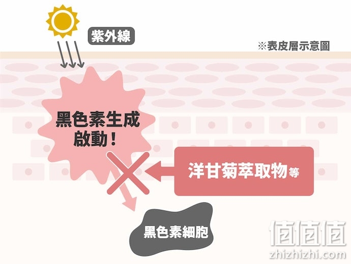 保湿乳霜怎么选？保湿乳霜选购指南