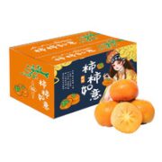 吐蕃遇农 山西巧克力脆柿子 净重5斤装