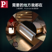 Paulmann P 德国柏曼Schrank橱柜灯智能人体感应灯 走廊卧室衣柜充电小夜灯 Achten 雅光银
