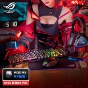 ROG 游侠RX PBT版 机械键盘 有线游戏键盘 光学触发机械蓝轴 RGB背光键盘 防水防尘键盘104键 黑色 RX光轴