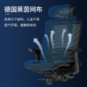 恋树（LIANSHU） 人体工学电脑椅 多功能办公椅 家用椅子 撑腰电竞椅 透气网布椅 F08标准版 灰框+蓝网（网布坐垫）
