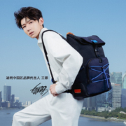 途明（TUMI）HARRISON系列 男式商务旅行高端时尚双肩包 06602021DNVY 黑/海军蓝